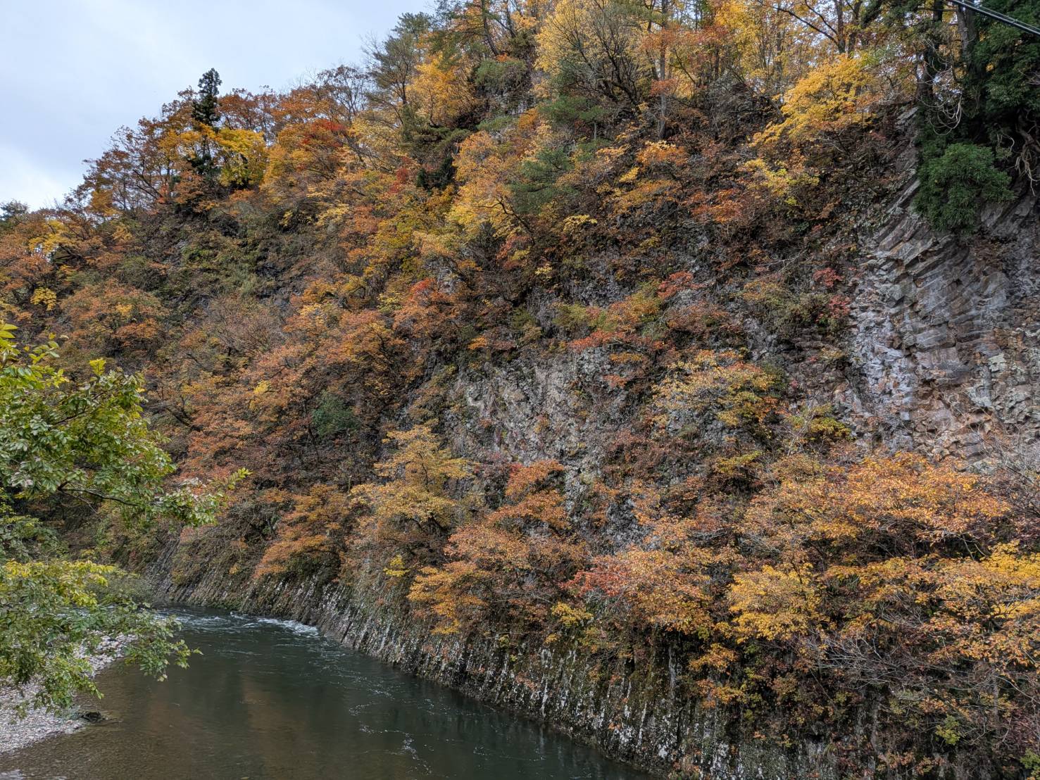 【イチョウやモミジが美しく輝く五泉の秋】紅葉情報はこちらから☆213