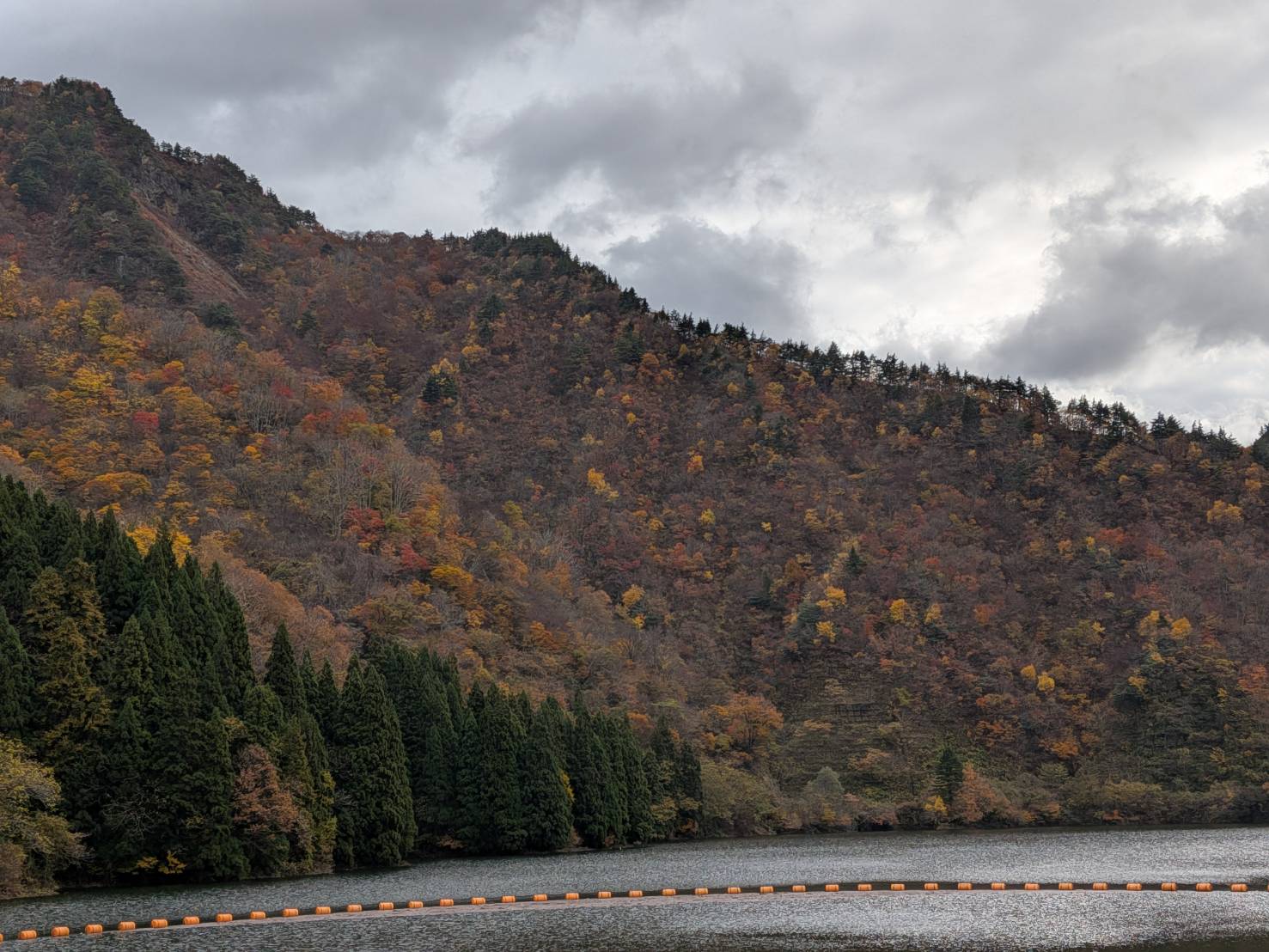 【イチョウやモミジが美しく輝く五泉の秋】紅葉情報はこちらから☆231