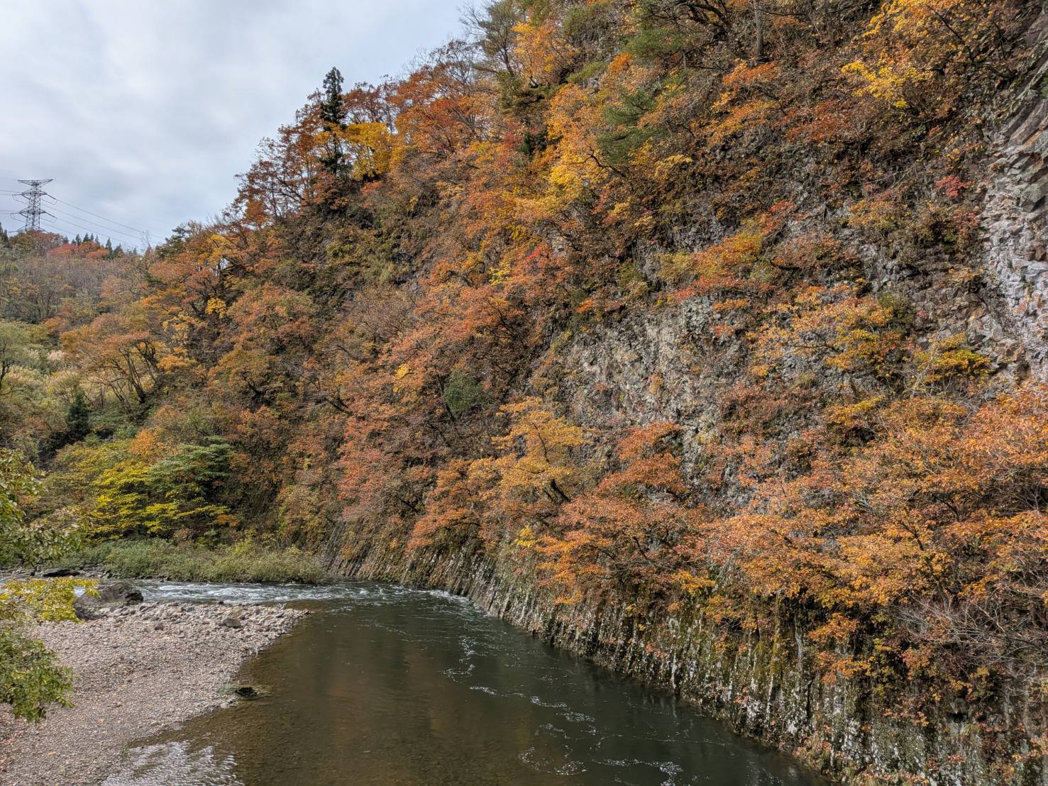 【イチョウやモミジが美しく輝く五泉の秋】紅葉情報はこちらから☆233