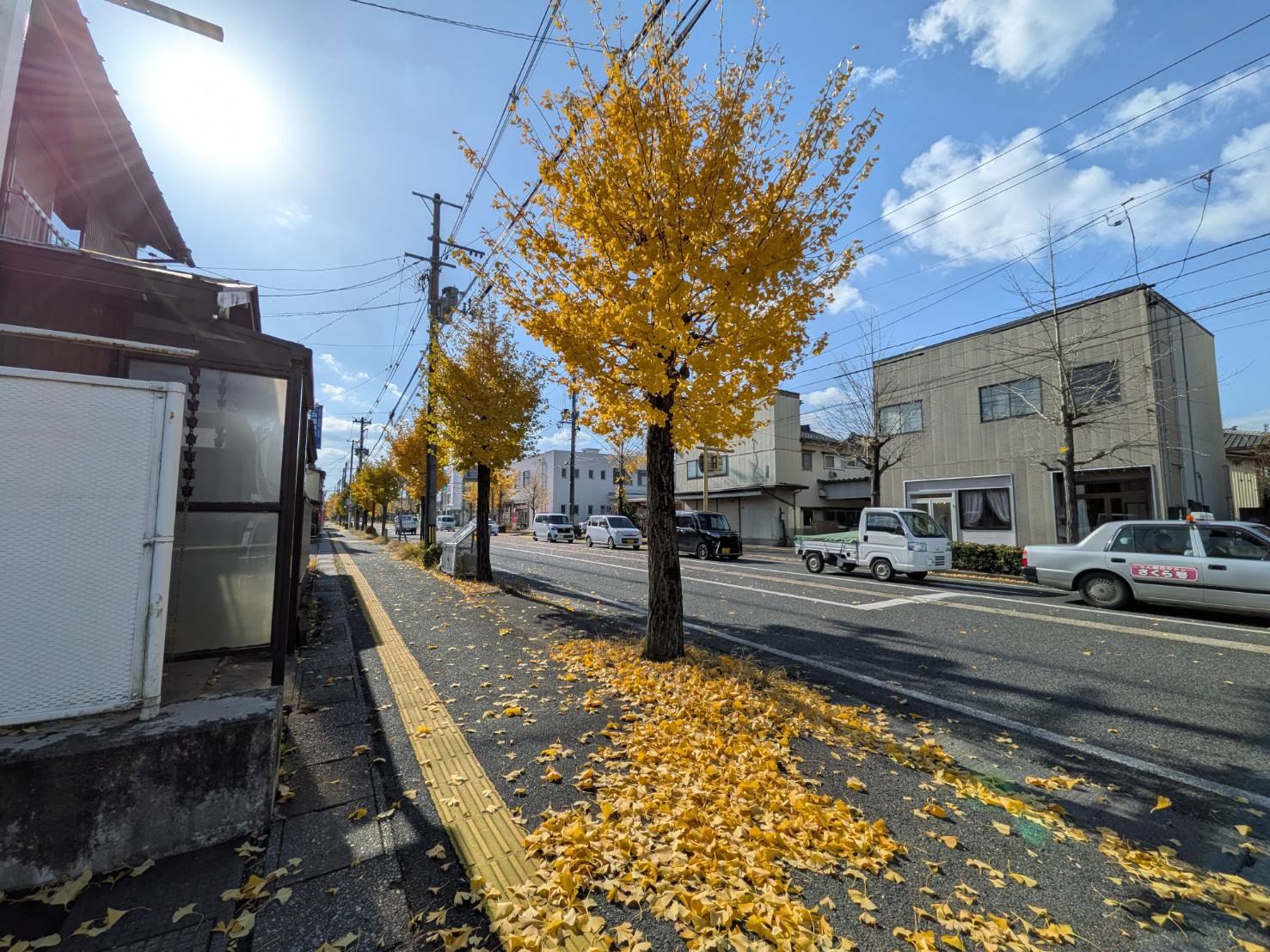 【イチョウやモミジが美しく輝く五泉の秋】紅葉情報はこちらから☆256