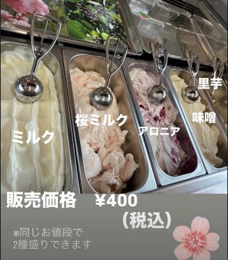 雪割草まつり～ごせん桜アロマ工房～水芭蕉公園に行ってきました♪