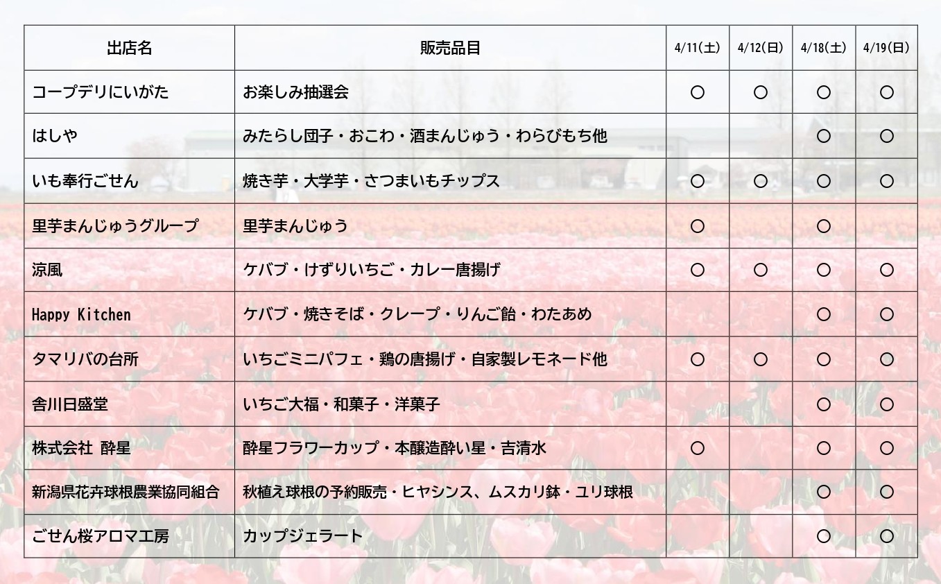 【第39回 五泉市チューリップまつり】令和8年4月11日（土）～19日（日）