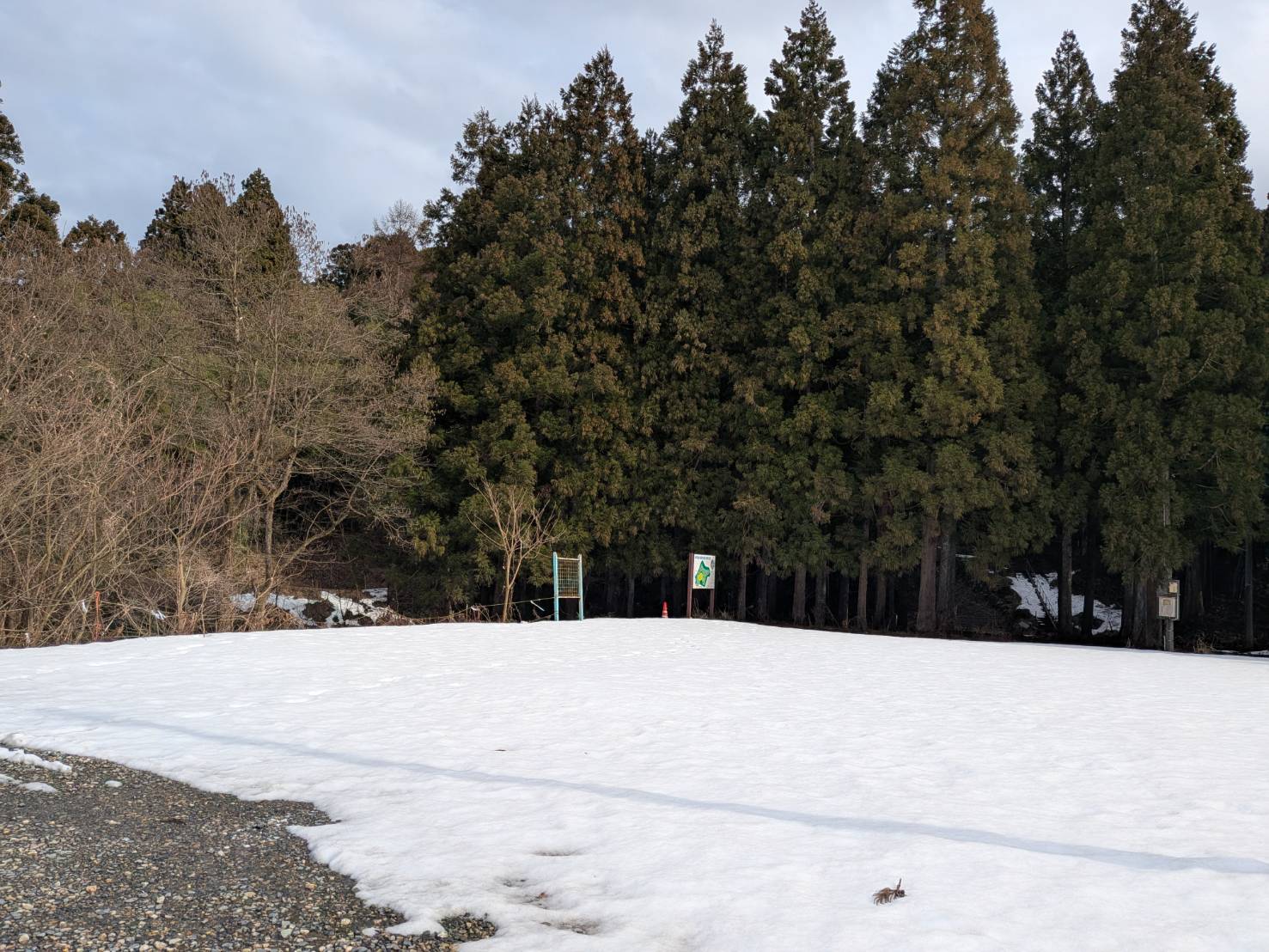雪割草まつり～ごせん桜アロマ工房～水芭蕉公園に行ってきました♪
