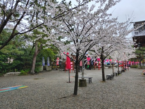 【五泉八幡宮】春季例祭4/14(火）・15(水)76