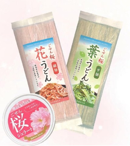 【アルビレックス新潟】新潟うんめもん博に出店決定!