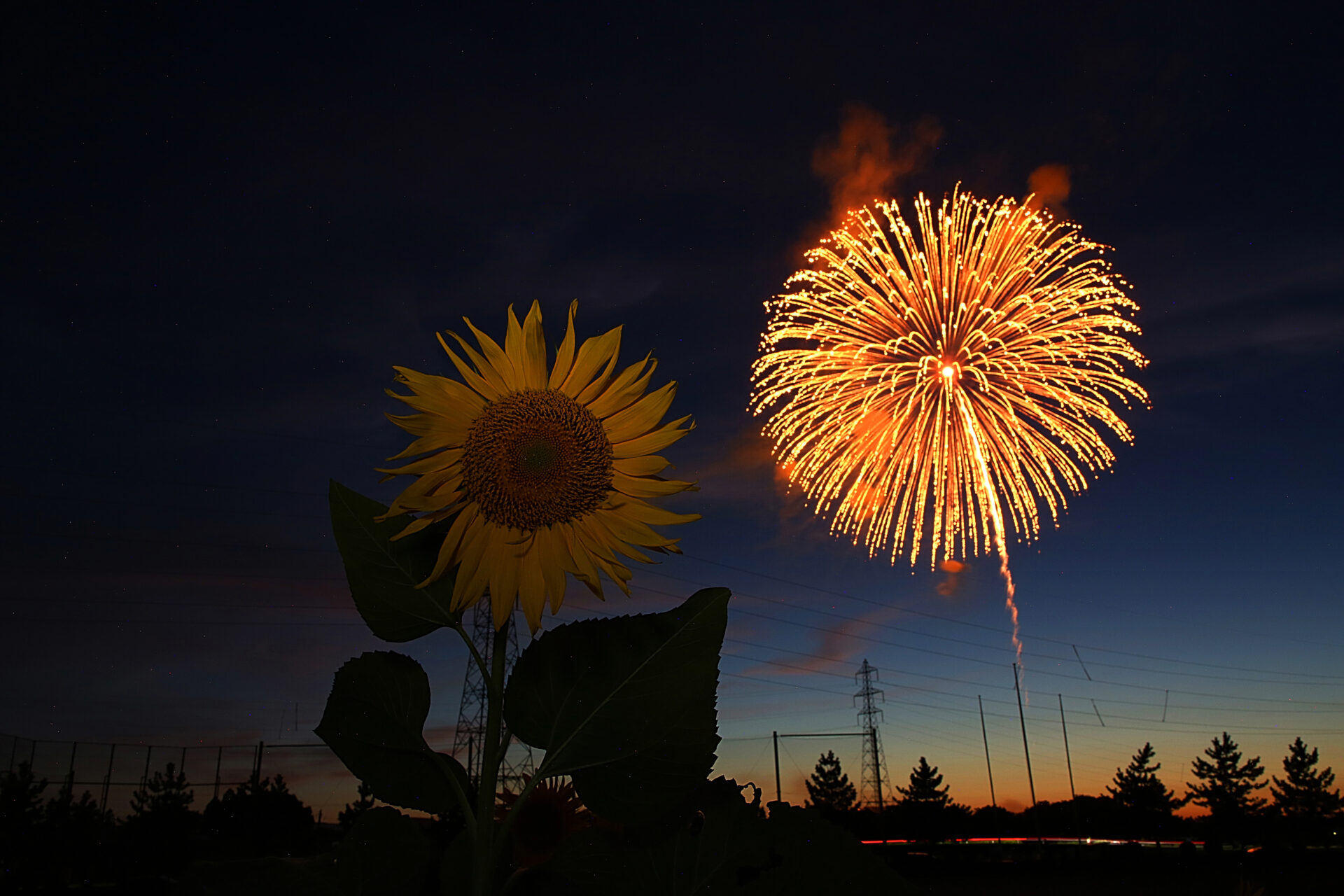 2026年五泉ひゃんで花火大会のお知らせ542